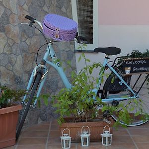 Aquarius Maiori B&B
